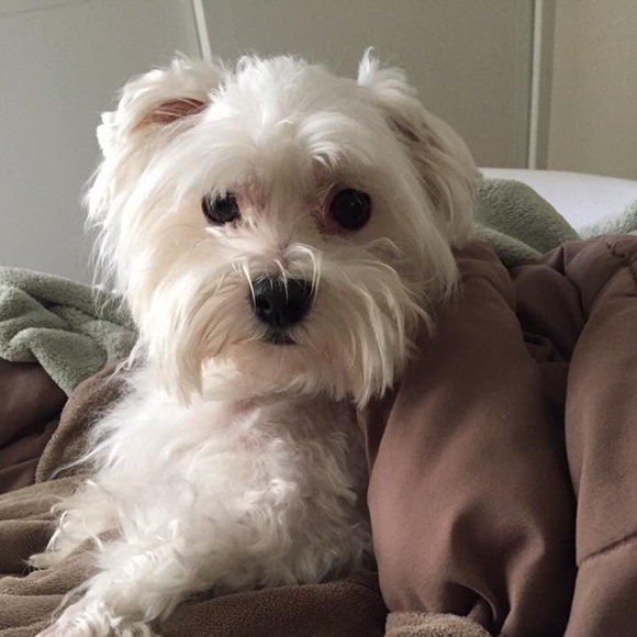 Meet your Posher, Sandra - Picture 1 of 1